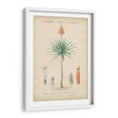 Botanique Tropical Ii - Vision Studio | Cuadro decorativo de Canvas Lab