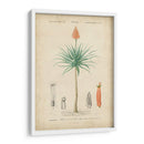 Botanique Tropical Ii - Vision Studio | Cuadro decorativo de Canvas Lab