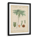 Botanique Tropical Iv - Vision Studio | Cuadro decorativo de Canvas Lab