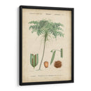 Botanique Tropical Iv - Vision Studio | Cuadro decorativo de Canvas Lab