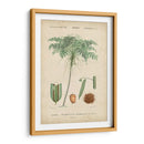Botanique Tropical Iv - Vision Studio | Cuadro decorativo de Canvas Lab