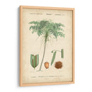Botanique Tropical Iv - Vision Studio | Cuadro decorativo de Canvas Lab