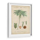 Botanique Tropical Iv - Vision Studio | Cuadro decorativo de Canvas Lab