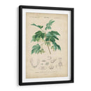 Botanique Tropical Viii - Vision Studio | Cuadro decorativo de Canvas Lab