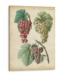 Calwer Grabes Ii - Calwer | Cuadro decorativo de Canvas Lab