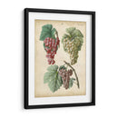 Calwer Grabes Ii - Calwer | Cuadro decorativo de Canvas Lab