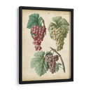 Calwer Grabes Ii - Calwer | Cuadro decorativo de Canvas Lab