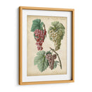 Calwer Grabes Ii - Calwer | Cuadro decorativo de Canvas Lab