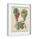Calwer Grabes Ii - Calwer | Cuadro decorativo de Canvas Lab
