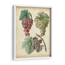 Calwer Grabes Ii - Calwer | Cuadro decorativo de Canvas Lab