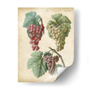 Calwer Grabes Ii - Calwer | Cuadro decorativo de Canvas Lab