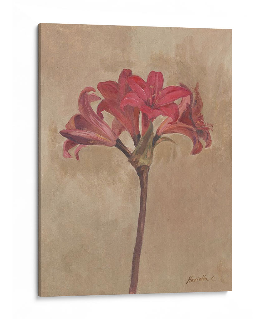 Floraciones Y Tallos Iii - Marietta Cohen | Cuadro decorativo de Canvas Lab