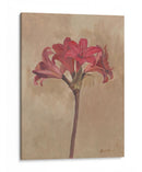 Floraciones Y Tallos Iii - Marietta Cohen | Cuadro decorativo de Canvas Lab