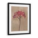 Floraciones Y Tallos Iii - Marietta Cohen | Cuadro decorativo de Canvas Lab