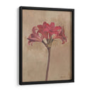 Floraciones Y Tallos Iii - Marietta Cohen | Cuadro decorativo de Canvas Lab