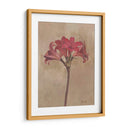 Floraciones Y Tallos Iii - Marietta Cohen | Cuadro decorativo de Canvas Lab