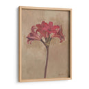 Floraciones Y Tallos Iii - Marietta Cohen | Cuadro decorativo de Canvas Lab