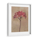 Floraciones Y Tallos Iii - Marietta Cohen | Cuadro decorativo de Canvas Lab