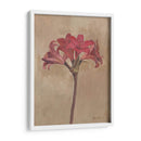 Floraciones Y Tallos Iii - Marietta Cohen | Cuadro decorativo de Canvas Lab