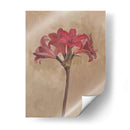 Floraciones Y Tallos Iii - Marietta Cohen | Cuadro decorativo de Canvas Lab