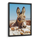 No te a burras | Cuadro decorativo de Canvas Lab