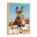 No te a burras | Cuadro decorativo de Canvas Lab