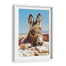 No te a burras | Cuadro decorativo de Canvas Lab