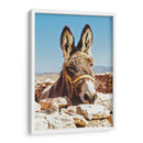 No te a burras | Cuadro decorativo de Canvas Lab