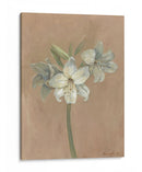 Floraciones Y Tallos Iv - Marietta Cohen | Cuadro decorativo de Canvas Lab