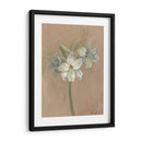 Floraciones Y Tallos Iv - Marietta Cohen | Cuadro decorativo de Canvas Lab