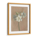 Floraciones Y Tallos Iv - Marietta Cohen | Cuadro decorativo de Canvas Lab