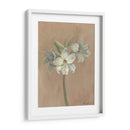 Floraciones Y Tallos Iv - Marietta Cohen | Cuadro decorativo de Canvas Lab