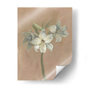 Floraciones Y Tallos Iv - Marietta Cohen | Cuadro decorativo de Canvas Lab