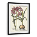 Belleza Botánica I - Vision Studio | Cuadro decorativo de Canvas Lab