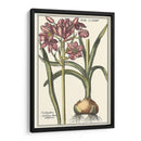 Belleza Botánica I - Vision Studio | Cuadro decorativo de Canvas Lab