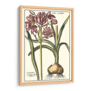 Belleza Botánica I - Vision Studio | Cuadro decorativo de Canvas Lab