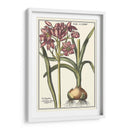 Belleza Botánica I - Vision Studio | Cuadro decorativo de Canvas Lab