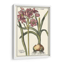 Belleza Botánica I - Vision Studio | Cuadro decorativo de Canvas Lab