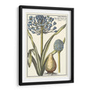 Belleza Botánica Ii - Vision Studio | Cuadro decorativo de Canvas Lab