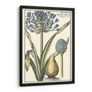 Belleza Botánica Ii - Vision Studio | Cuadro decorativo de Canvas Lab