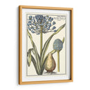 Belleza Botánica Ii - Vision Studio | Cuadro decorativo de Canvas Lab