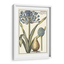 Belleza Botánica Ii - Vision Studio | Cuadro decorativo de Canvas Lab