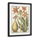 Belleza Botánica Iii - Vision Studio | Cuadro decorativo de Canvas Lab