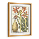 Belleza Botánica Iii - Vision Studio | Cuadro decorativo de Canvas Lab