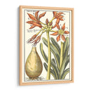 Belleza Botánica Iii - Vision Studio | Cuadro decorativo de Canvas Lab