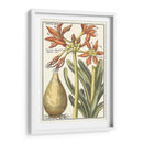 Belleza Botánica Iii - Vision Studio | Cuadro decorativo de Canvas Lab