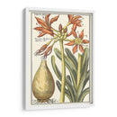 Belleza Botánica Iii - Vision Studio | Cuadro decorativo de Canvas Lab