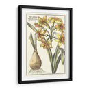 Belleza Botánica Iv - Vision Studio | Cuadro decorativo de Canvas Lab