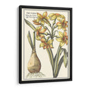 Belleza Botánica Iv - Vision Studio | Cuadro decorativo de Canvas Lab