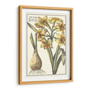 Belleza Botánica Iv - Vision Studio | Cuadro decorativo de Canvas Lab